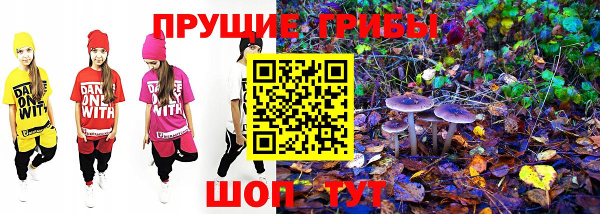 Псилоцибиновые грибы мицелий Уварово