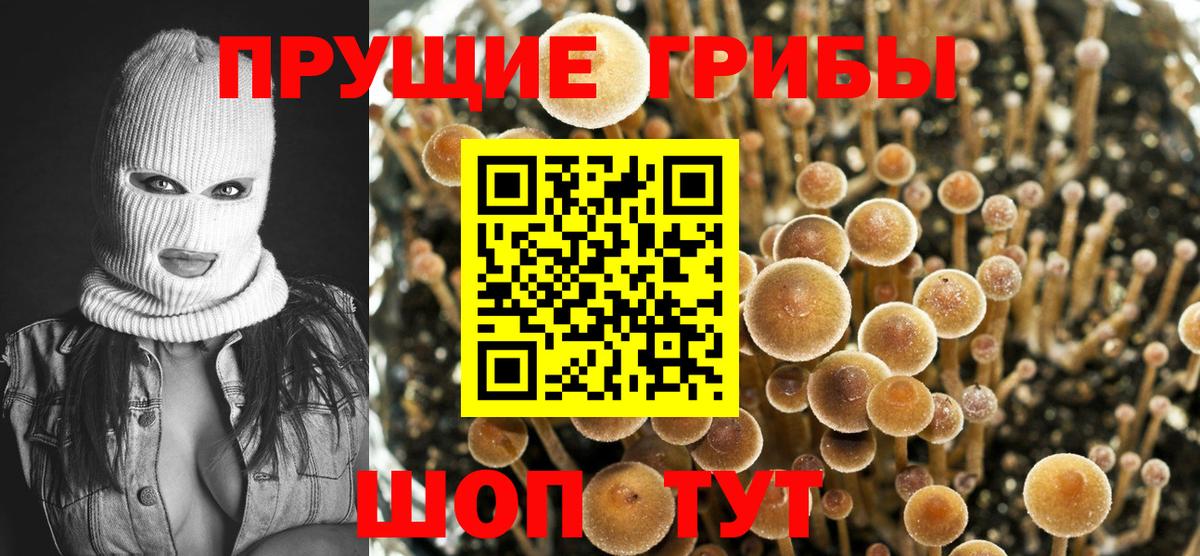 Уварово  Псилоцибиновые грибы Psilocybe  Вход с VPN  Галлюциногенные грибы Psilocybine cubensis 